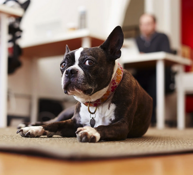 Fotografie č.4 ze zákulisí Payminator